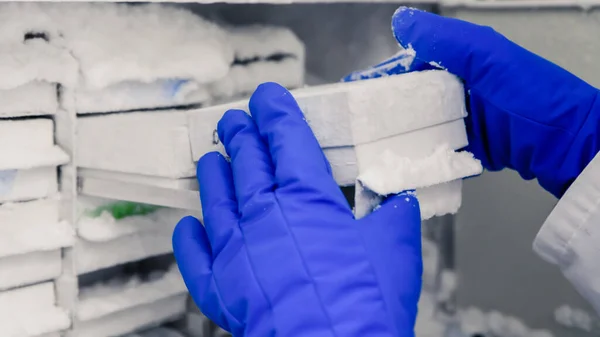 Biyolojik bilim laboratuarındaki dondurucuda bilimsel manipülasyon testleri. Bilim kavramı, laboratuvar ve hastalıklar üzerine çalışma. Coronavirus (COVID-19) tedavisi geliştiriliyor.