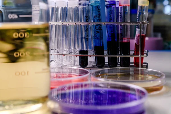 Petrischaaltjes Reageerbuisjes Laboratoriumapparatuur Met Kleurstoffen Concept Van Wetenschap Laboratorium Studie — Stockfoto