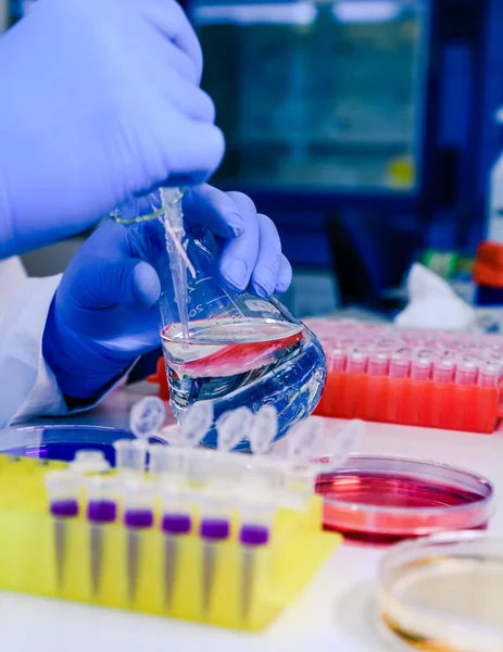 DNA araştırmaları için plastik tüplerde pipet ve matarayla çalışan bir bilim adamı. Bilim kavramı, laboratuvar ve hastalıklar üzerine çalışma. Coronavirus (COVID-19) tedavisi geliştiriliyor.