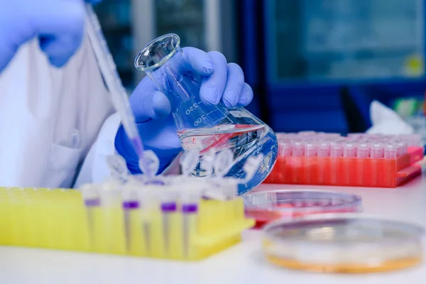 DNA araştırmaları için plastik tüplerde pipet ve matarayla çalışan bir bilim adamı. Bilim kavramı, laboratuvar ve hastalıklar üzerine çalışma. Coronavirus (COVID-19) tedavisi geliştiriliyor.