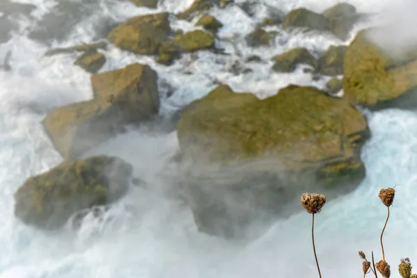 Close Lado Cachoeira Dos Estados Unidos Flores Primeiro Plano Fora — Fotografia de Stock