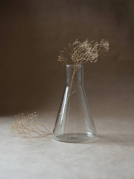 Kuru çiçeklerin şeffaf vazosu