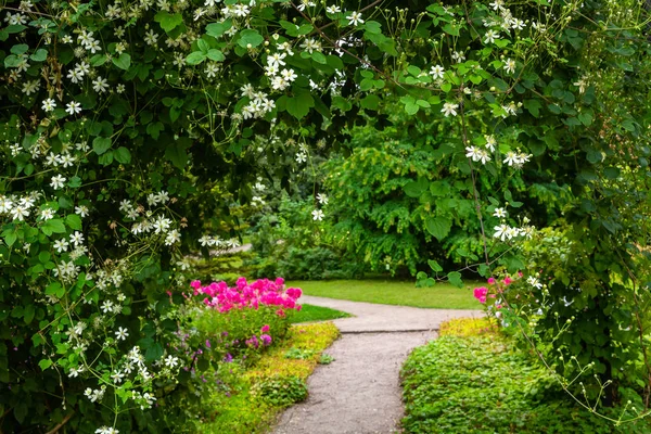 Květiny Podzimní Zahradě Trvalky Botanické Zahradě Podzim — Stock fotografie