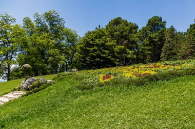 Sochi, Rusya, 23 Temmuz 2018: Botanik Parkı Soçi şehrinin büyük bir cazibesi. Tropikal bahçede güzel bir manzara.