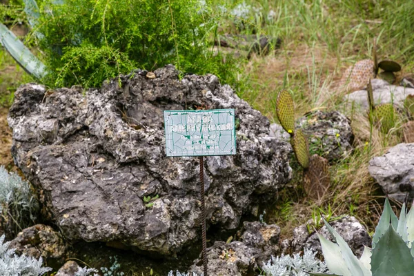 Soči Rusko Července 2018 Park Arboretum Velkou Atrakcí Města Soči — Stock fotografie