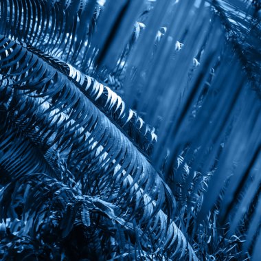 Sevimli yeşil yapraklar klasik mavi renkte