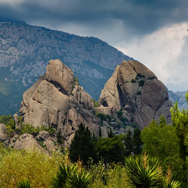 Amazing View Rocky Mountains Greenery — 스톡 사진