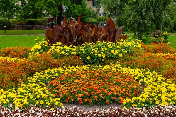 Schönes Florales Konzept Mit Bunten Blumen Draußen Garten — Stockfoto