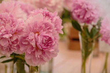 Çiçek açan narin pembe şakayık çiçekleri şenlikli arka plan, pastel ve yumuşak buket çiçekli kart, seçici odak, tonlu