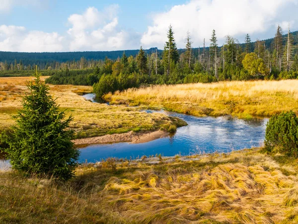 Small mountain creek meandering in the middle of meadows and forest — Stock Photo, Image