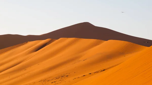 Rode duinen van Namib woestijn in de buurt van Sossusvlei, aka Sossus Otomys, Namibië, Afrika — Stockfoto