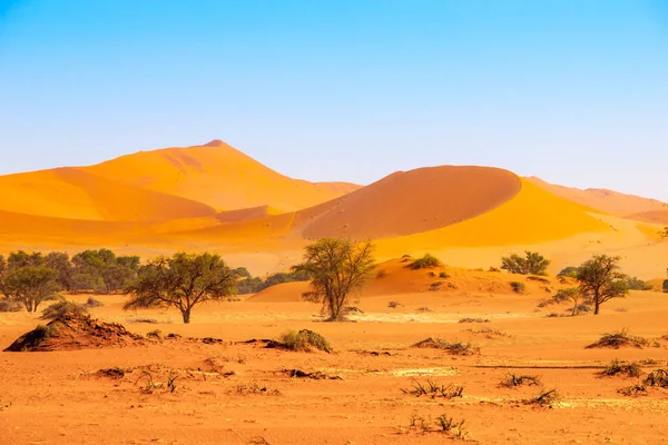 Rode duinen van Namib woestijn in de buurt van Sossusvlei, aka Sossus Otomys, Namibië, Afrika — Stockfoto