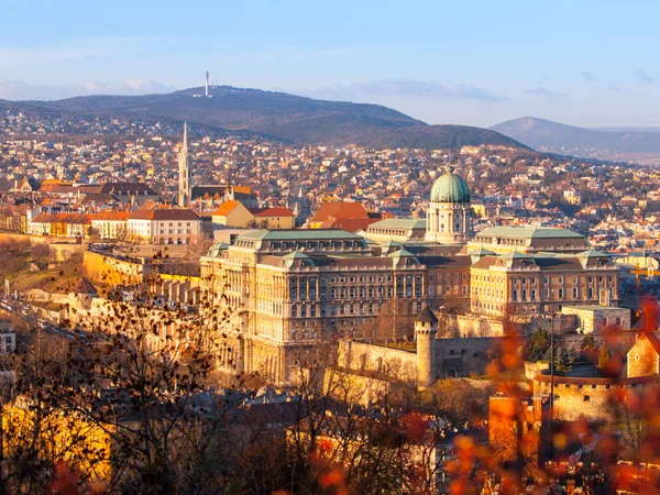 View of Buda Castle from Gellert Hill on sunny evening, Budapest, Hungary, Europe, UNESCO World Heritage Site — Stock Photo, Image