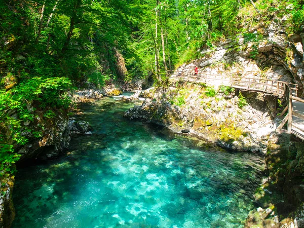 Zuiver blauwe water van rivier de Radovna in Vintgar Gorge. Natuurlijke watervallen, zwembaden en stroomversnellingen en toeristisch houten pad. Slovenië, Europa — Stockfoto
