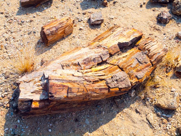 ダマラランド、ナミビア、アフリカでペトリファイドフォレスト珪化木の作品 — ストック写真