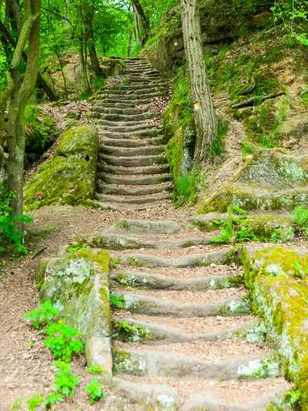 Lange Sandsteintreppe im Wald, mseno, kokorinsko, Tschechische Republik. — Stockfoto