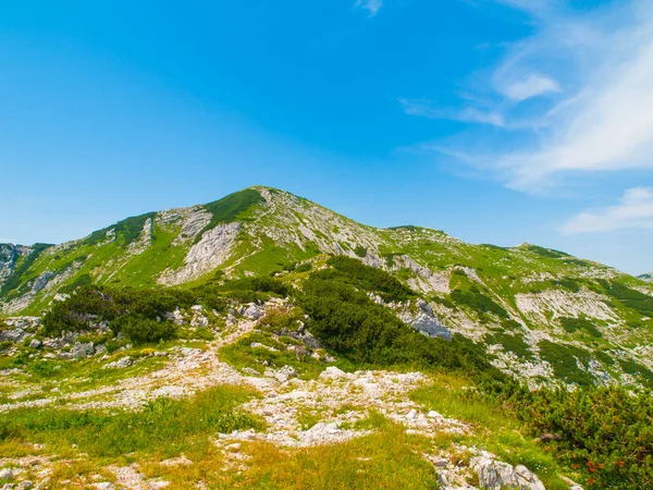 Sija Triglav 국립 공원, 줄리안 알프스, 슬로베니아에서 산. 화창한 여름 날 — 스톡 사진