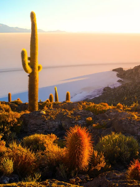 乌尤尼盐沼与大仙人掌的岛在日出的时候，安第斯高原，玻利维亚，南美洲的印加 — 图库照片