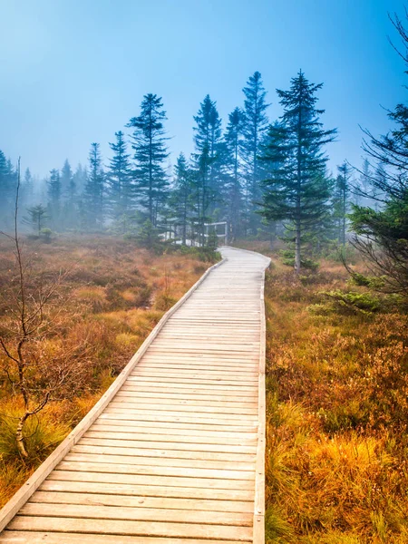 Wooden path in peat bog Bozi Dar, Czech Republic. Colorful autumn landscape scene. — Stock Photo, Image