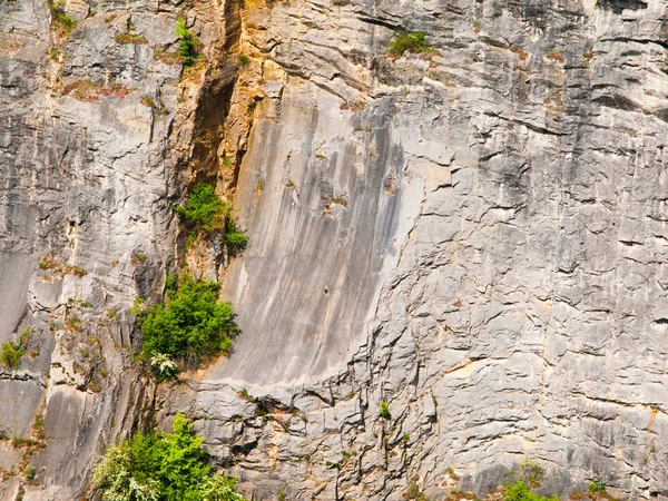 Vista dettagliata della struttura calcarea, sfondo naturale — Foto Stock