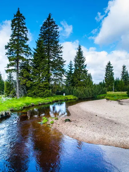 Pequeno riacho de montanha no meio de prados verdes e floresta de abetos, Montanhas Jizera, República Checa — Fotografia de Stock