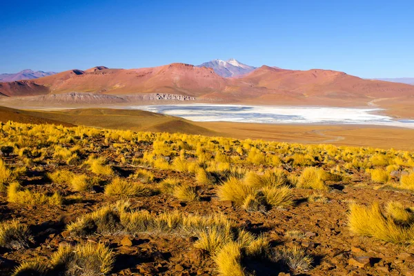 Landscape of Cordillera de Lipez with high mountains and Laguna Morejon, Andean Altiplano, Bolivia — Stock Photo, Image