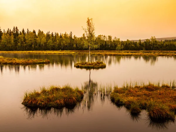 Chalupska Moor Lake nabij Borova Lada, Sumava Bergen, Tsjechië, Europa — Stockfoto