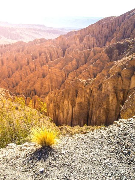 Lanskap di sekitar Quebrada de Palala Valley dengan formasi batuan berduri terkikis, El Sillar melewati dekat Tupiza, Bolivia, Amerika Selatan — Stok Foto