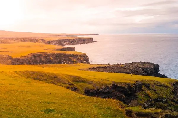 Paisaje volcánico con llanuras verdes y costa rocosa en la península de Snaefellsnes, Islandia — Foto de Stock