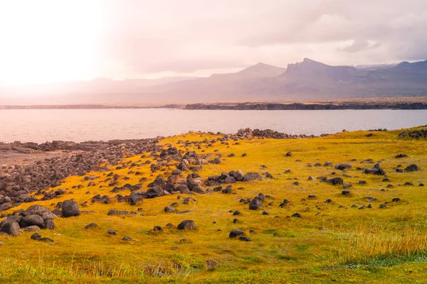 Paesaggio vulcanico con verdi pianure e costa rocciosa nella penisola di Snaefellsnes, Islanda — Foto Stock