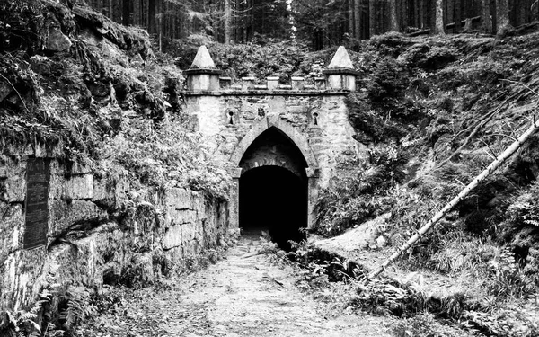 Horní vstup do tunelu historických Schwarzenberský plavební kanál, Šumava Mountains, Česká republika — Stock fotografie