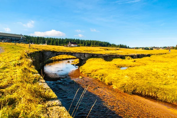 Jizerka stream på grön äng med gamla små stenbro, Jizerka byn, Jizera Mountains, Tjeckien — Stockfoto