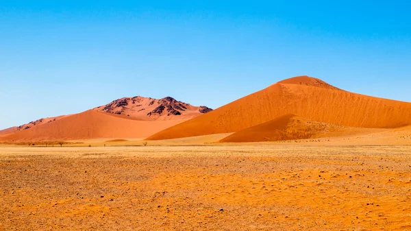 Paisagem com dunas vermelhas do deserto do Namib, Namíbia, África — Fotografia de Stock