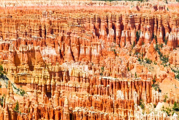 Formazioni rocciose colorate in Bryce Canyou, Utah, USA . — Foto Stock