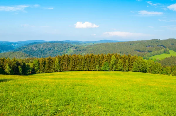 緑豊かな緑の牧草地と白い雲と森と青空と美しい夏の山の風景します。 — ストック写真