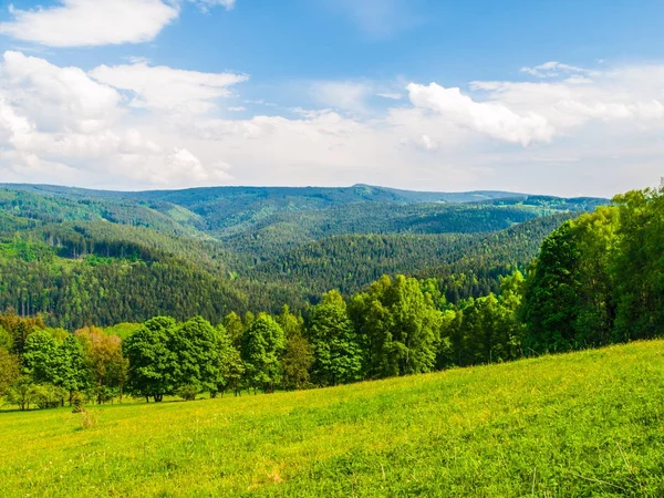 Beau paysage de montagne d'été avec prairies verdoyantes et forêt et ciel bleu avec des nuages blancs — Photo