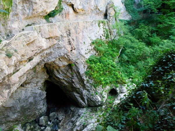 Deep gorge and entrance to Skocjan Caves, Matavun, Slovenia — Stock Photo, Image