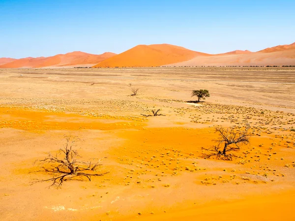 Táj a halott fák és piros homokdűnék Namíb-sivatag, Namib-Naukluft nemzeti parkban, Namíbia, Afrika — Stock Fotó