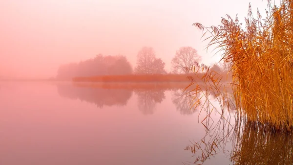 Amanecer en el agua. Los árboles se reflejan en el estanque en la mañana brumosa. Humor naranja — Foto de Stock