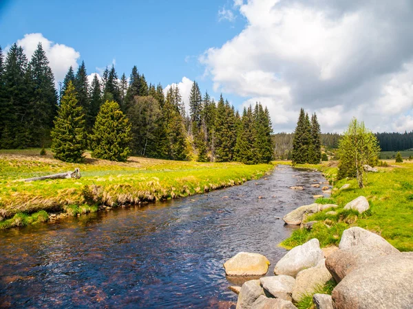 Idyllic landscape with calm mountain river on sunny day. White stones and green meadows and trees. Sumava National Park, Bohemian Forest, Czech Republic — Stock Photo, Image