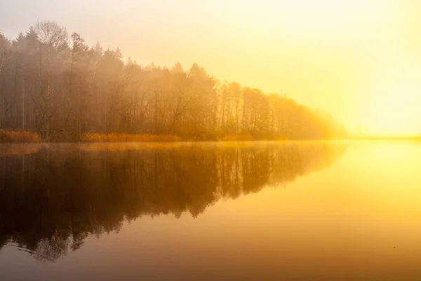 Sunrise at the water. Trees reflection in the pond on foggy morning — Stock Photo, Image