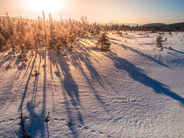 Зима в горах Йизера на закате солнца с длинными тенями деревьев, Чехия — стоковое фото