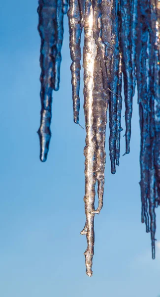 Detailed view of icicles on sunny winter day with clear blue sky background — Stock Photo, Image