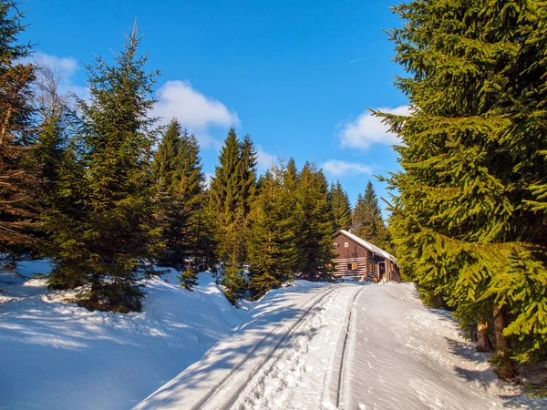 Kleines Holzhaus inmitten des Winterwaldes — Stockfoto