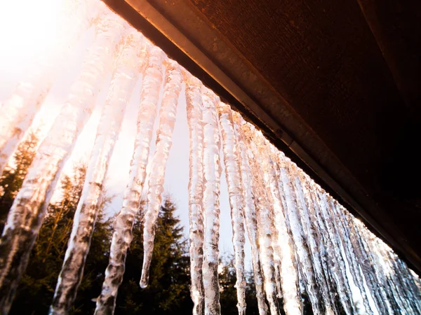 Many bright and transparent icicles hanging on the roof and illuminated by sun — Stock Photo, Image