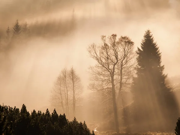 Nebliger Morgen in den Bergen mit ersten Sonnenstrahlen. Panoramaaufnahme in warmen Farben — Stockfoto