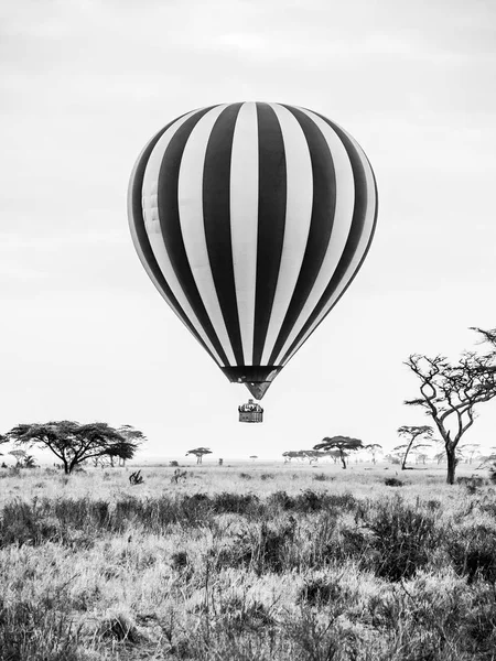 热气球在非洲 — 图库照片