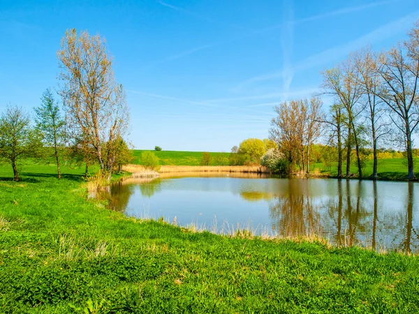 Μικρή λιμνούλα με σειρά των δέντρων στη μέση πράσινο αγροτικό τοπίο ηλιόλουστη καλοκαιρινή μέρα — Φωτογραφία Αρχείου