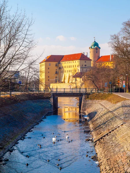 Κάστρο Podebrady στο ποτάμι Labe, Τσεχική Δημοκρατία — Φωτογραφία Αρχείου