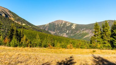 Snezka - the highest mountain of Czech Republic. View from valley. Giant Mountains, Krkonose National Park clipart